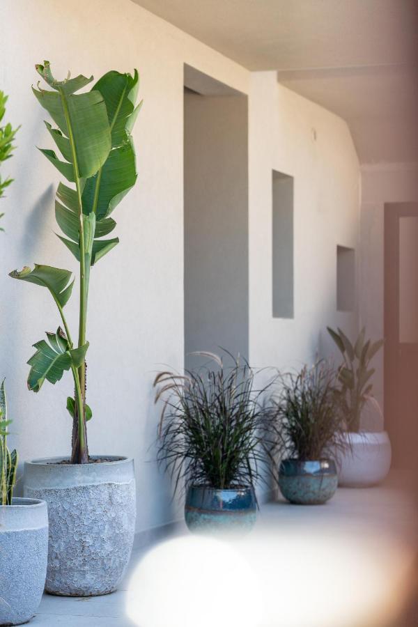 Villa Ilma Luxury Rooms Arzachena Kültér fotó